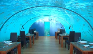 88 underwater restaurant Maldives