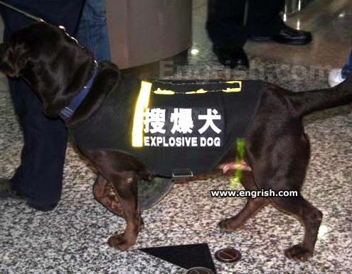 explosive-dog